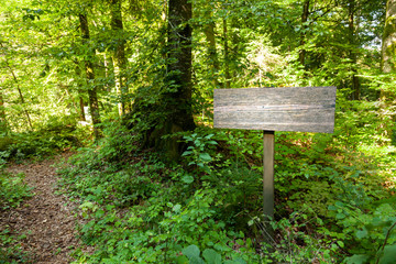 Empty wooden table sign in beautiful sunny forest landscape.