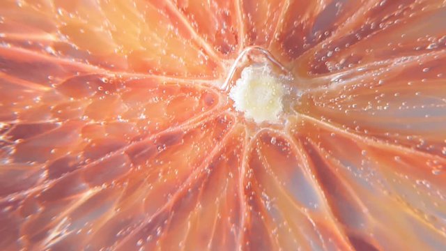 grapefruit close up under water