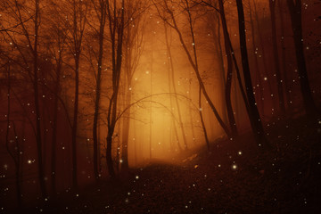 Obraz premium Magic misty foggy forest trees with fireflies.