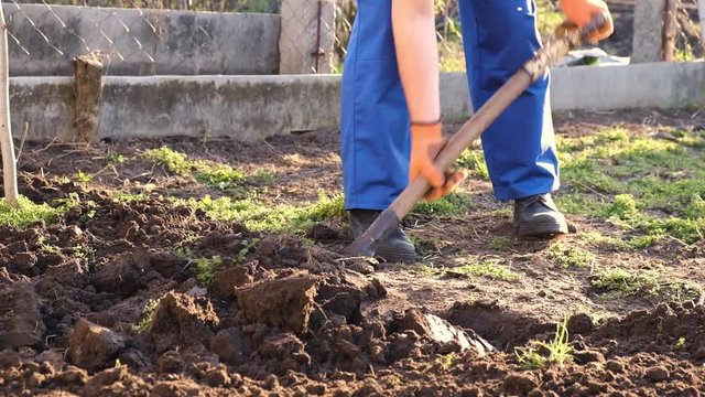 Working in the garden - digging spring soil with a scapular fork. Close up digging spring soil with a shovel to prepare it for a new planting season.