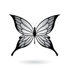 Grey Butterfly With Spiky Wings Illustration