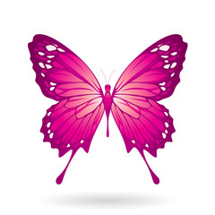 Magenta Glossy Butterfly Illustration