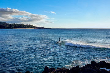 O'ahu, Hawaii, USA - August 4, 2017 : A surfer enjoying the waves at the ocean nearby  a resort. - obrazy, fototapety, plakaty
