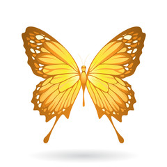 Yellow Glossy Butterfly Illustration