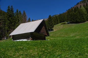 Old wooden cottage on grassland in Karavanke alps