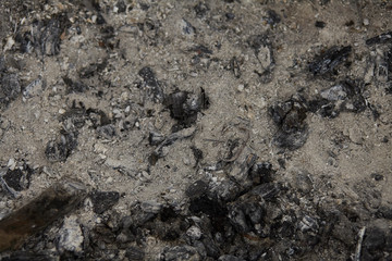 Ash, close up of ash, background isolated and textured