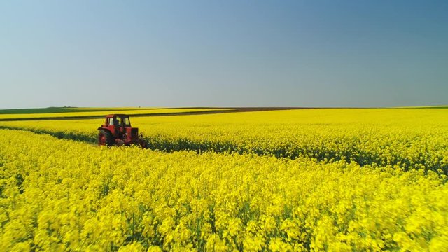 Aerial view of farm tractor in a rapeseed field, beautiful spring day