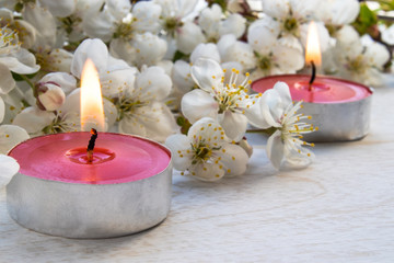 Obraz na płótnie Canvas Wax candles are burning near the branches of flowering cherry on the table.