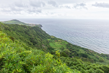 Green Summer View