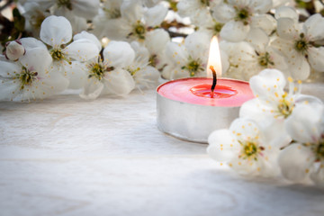 Red candle with white cherry branches.