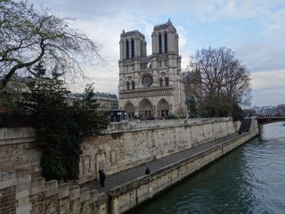 Fototapeta na wymiar Cathédrale Notre-Dame de Paris ノートルダム大聖堂
