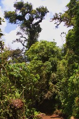 Hiking to Acatenango volcano, Fuego Volcano, Guatemala
