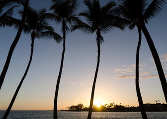 Calm warm colored  sunset behind palms in Kailua Bay