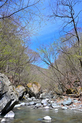 渓流、登山、長野県、日本