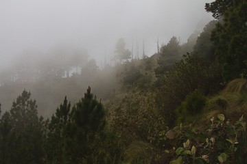 Hiking to Acatenango volcano, Fuego Volcano, Guatemala