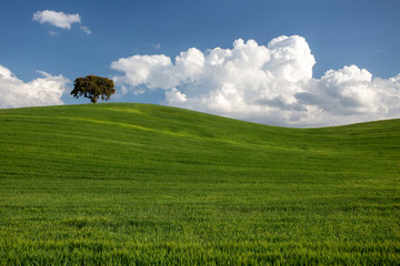 Fototapeta premium Paisaje de colinas, nubes y campos verdes