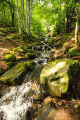 cold river in the mountain