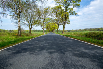 Fototapeta premium country road on a sunny day