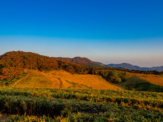 【静岡県伊豆半島】伊豆山稜線歩道仁科峠付近からの夕景【秋】