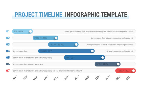 Timeline Infographics