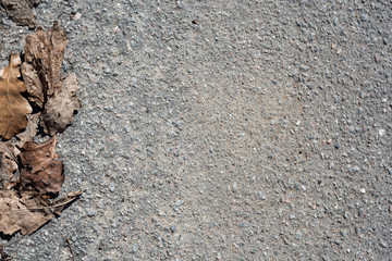 Naklejka premium Road with dry leaves