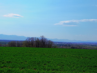 高台より望む北海道十勝平野