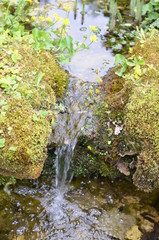 bory, charakter, drzew, woda, zieleń, potok, rzeka, krajobraz, mech, drewna, wodospad, creek, jary, sadzawka, opoka, bagno, außenaufnahme, jezior, brooks, okolica, droga, bezdroża