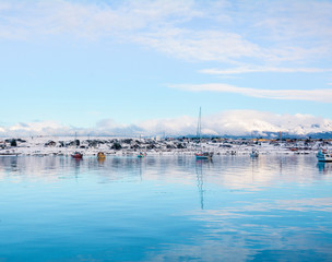 A view of Ushuaia and mountains in winter.