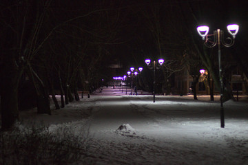 Wonderful winter evening landscape. Illuminated alley in the park.