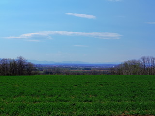 Obraz premium 北海道十勝の広大な畑(初夏)