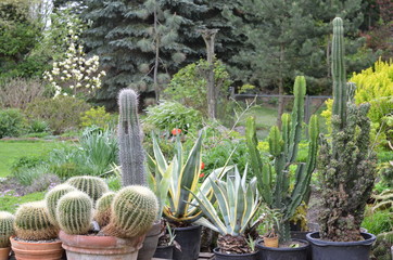 Foto Szymon Sobieniak © Szymon