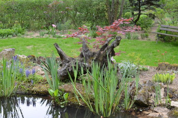 Foto Szymon Sobieniak © Szymon