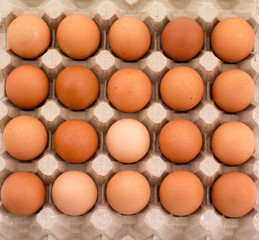 Twenty eggs in ecological cardboard packaging, top view