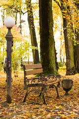 bench and city light in park