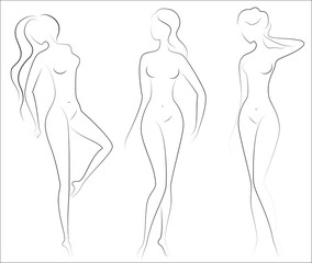 Silhouettes of lovely ladies. Beautiful girls stand in different poses. The figures of women are nude, feminine and slender. Vector illustration