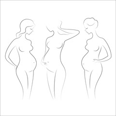 Silhouettes of pregnant ladies. Young girls stand in different poses. The figures of women are nude, feminine and elegant. Vector illustration