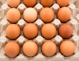 Chicken eggs in the package