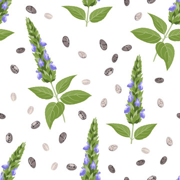 Chia plant and seeds seamless pattern on white background. Vector illustration of healthy vegan food in cartoon flat style.
