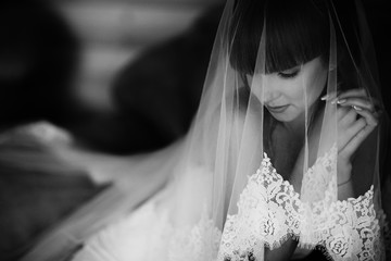 Portrait of charming bride enveloped in a veil. Black and white picture of beuatiful bride hidden...