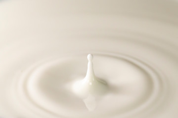 ミルクの飛沫と波紋
