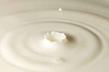 Fototapeta na wymiar ミルクの飛沫と波紋