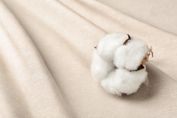Fototapeta na wymiar Fluffy cotton flower on fabric, closeup. Space for text
