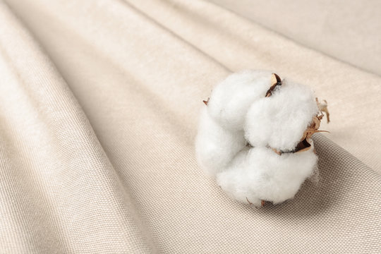 Fluffy cotton flower on fabric, closeup. Space for text © New Africa