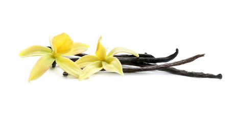 Aromatic vanilla sticks and flowers on white background