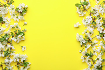 Flat lay composition of beautiful fresh spring flowers on color background, space for text