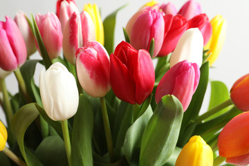 Beautiful bouquet of bright tulip flowers on light background, closeup