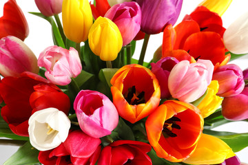 Beautiful bouquet of bright tulip flowers on light background, closeup