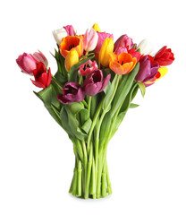 Beautiful bouquet of spring tulip flowers on white background