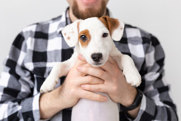 people, pets and animals concept - close up of young man holding jack russell terrier puppy on white background