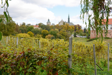 Sandomierz